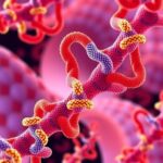 3D Chromatin Changes In Cancer Causes And Therapies 1780769792