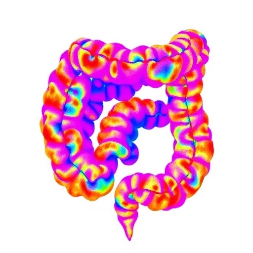 Ai Driven 3D Mapping Uncovers Intra Tumor Diversity In Colorectal Cancer Through Deep Visual Multi Omics 1780505138
