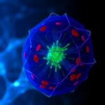 Adipocyte Caspase 8 Drives Fat Gain Not Ripk3 1782306339