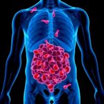 Adiposity And Cancer Exploring Links And Future Insights 1781522305