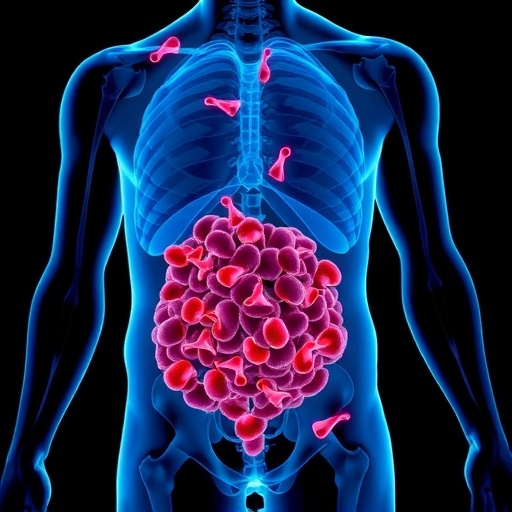 Adiposity And Cancer Exploring Links And Future Insights 1781522305
