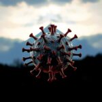Advances In Andes Hantavirus Vaccines And Treatments 1781000666