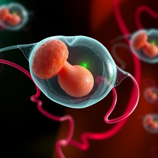 Advancing Ethical Standards In Human Fetal Tissue Research 1782264618