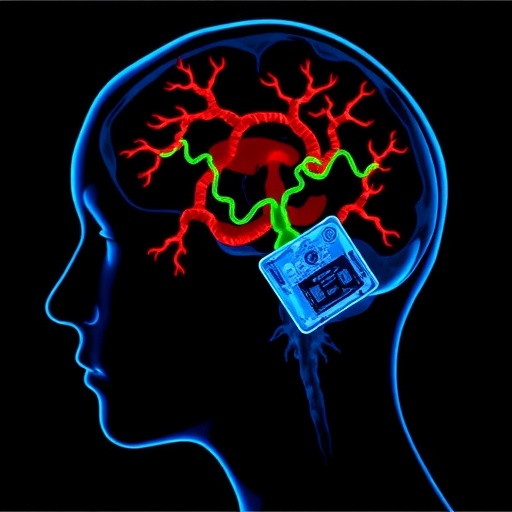 Antler Stem Cells Relieve Cerebral Ischemic Injury 1782321096