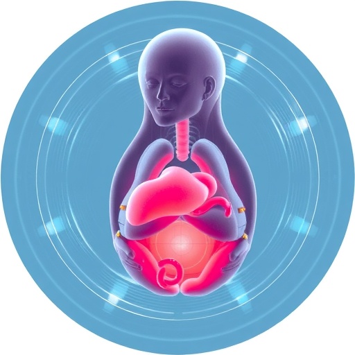 Artificial Wombs Exploring Ethical Frontiers 1780433134