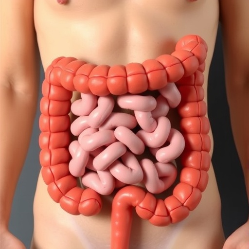 Bmi Chemotherapy Toxicity Survival In Colorectal Cancer 1781059051