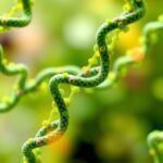 Benchmarking Large Language Models In Rna Biomarker Discovery 1781201447