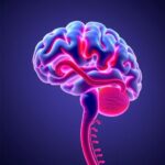 Brain Aneurysms Vascular Vulnerability And Fibrosis Insights 1781088025