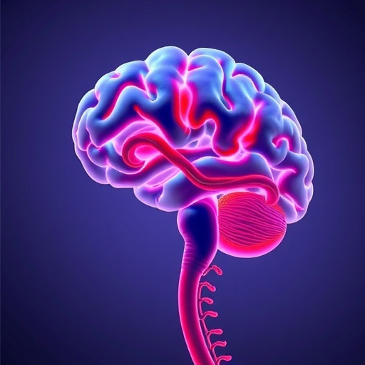 Brain Aneurysms Vascular Vulnerability And Fibrosis Insights 1781088025