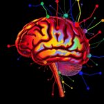 Brain Iron Impulsivity Link Youth Substance Use Trajectories 1781197760