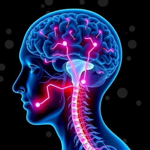 Brainstem Circuit Links Vagal Nerve To Pain Emotion 1780506333