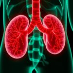 Breakthrough Strategy Targets Resistant Bladder Cancer Cells 1781028026