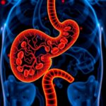 Breakthrough In Pancreatic Cancer Research Paves Way For Groundbreaking Clinical Trial 1782178715