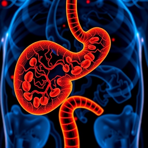 Breakthrough In Pancreatic Cancer Research Paves Way For Groundbreaking Clinical Trial 1782178715