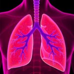 Cadonilimab Boosts Chemo In Pd L1 Negative Lung Cancer 1781366363