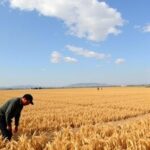 Climate Change Trade Shift China8217S Grain Production North 1781549677