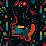 Cohabitating Individuals Share Approximately 25 Of Their Gut And Oral Microbiota Study Finds 1781543728