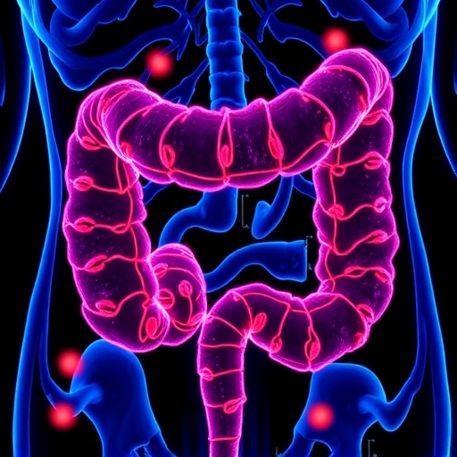 Colorectal Cancer Research Shifts Focus Toward Immune Cells 1781706866