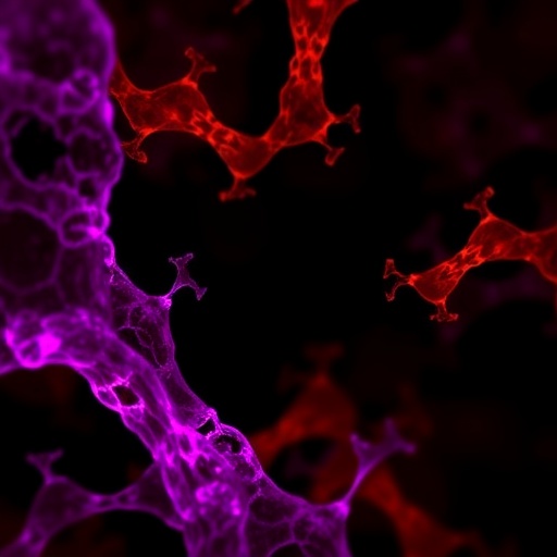 Commensal Acetylcholine Boosts Mucosal Immunity 1780537299