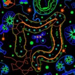 Comprehensive Microbiome Analysis Uncovers Reliable Colorectal Cancer Biomarkers 1782314788