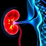 Could Mri Detect Kidney Disease Before It Develops Award Winning Study Opens New Possibilities 1781014295