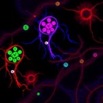 Decoding Cell Death In Tuberculosis Infected Macrophages 1780956450