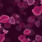Delaying Immediate Treatment Of Moderate Precancerous Cervical Cells Does Not Increase Cancer Risk Study Finds 1782168629