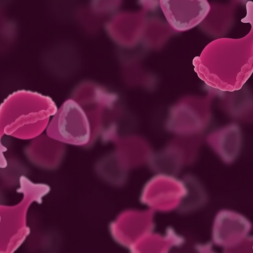 Delaying Immediate Treatment Of Moderate Precancerous Cervical Cells Does Not Increase Cancer Risk Study Finds 1782168629