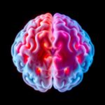 Desflurane Vs. Propofol Impact On Elderly Brain Health 1782019942