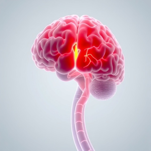 Elderly Brain Avm Treatment And Outcomes Explored 1781531729