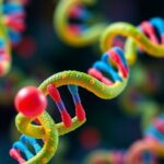 Engineering Drug Responsive Rna For Precise Control 1782228624