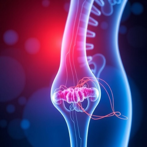 Engineering Wnt7B Peptides To Boost Bone Health 1781332581