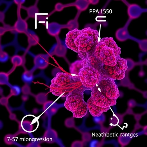 Epigenetic Changes Drive Pancreatic Adaptation To Aging Diabetes 1780514359