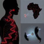 Epigenetics And Prostate Cancer In African Ancestry 1780681588