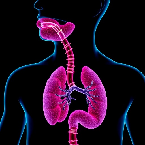 Esophageal Tissue System Evaluates Biologic Absorption Efficiency 1781296470