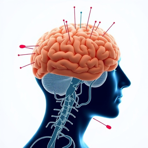 Exploring How Acupuncture Influences Motor Recovery After Stroke 1780472258