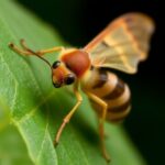 From Pest To Ally How Wax Moth Larvae Are Revolutionizing Animal Testing In Research 1780934792