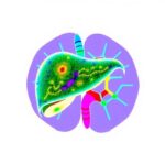 From Pixels To Prognosis How Imaging Is Revolutionizing Liver Donor Evaluation 1782162872