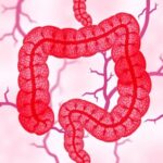 Gpr15 Cd8 Tregs Combat Intestinal Inflammation 1780937623