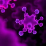 Genipin Crosslinked Nanoparticles Target Mcf 7 Breast Cancer 1780699953