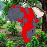 Global Virus Network To Hold International Media Briefing On Ebola Outbreak In The Democratic Republic Of The Congo 178102...