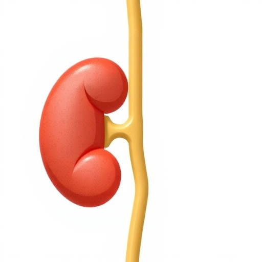 Glyphosate Exposure Linked To Kidney Health In Workers 1780433075
