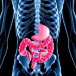Gut Microbiome Associated With Increased Osteoporosis Risk In Primary Hyperparathyroidism 1781298100