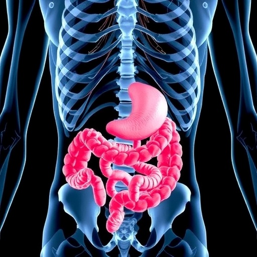 Gut Microbiome Associated With Increased Osteoporosis Risk In Primary Hyperparathyroidism 1781298100
