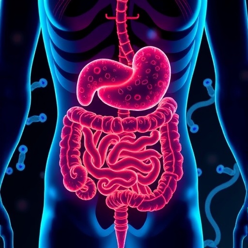 Gut Microbiome Reactivates Androgens To Control Motility 1780432833