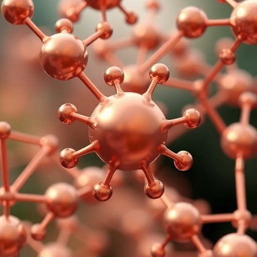 Harnessing Dual Metabolic Attack Copper Based Nano Protacs Enhance Cuproptosis For Cancer Treatment 1780584403