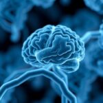 Hyperglycosylation Metabolic Trigger Behind Alzheimers Disease 1781015307