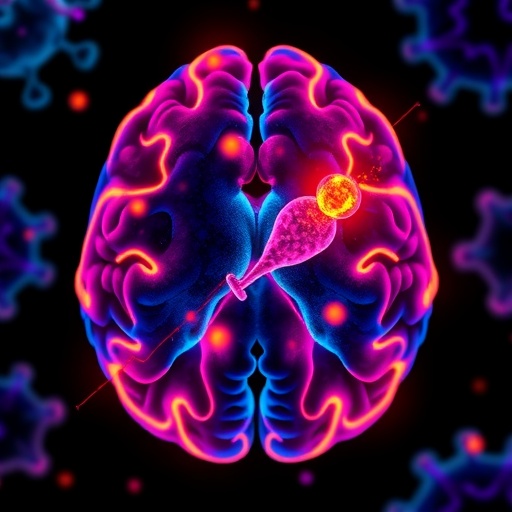 Immune Activation Could Hold The Key To Success Of Dual Target Car T Therapy In Glioblastoma 1781543428