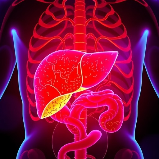 Immune Metabolite Itaconate Drives Stills Disease Liver Damage 1780697545