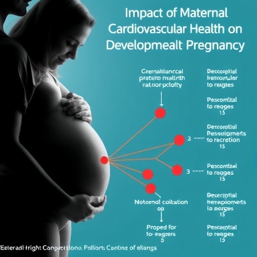 Impact Of Maternal Cardiovascular Health On Offspring Developmental Delays During Pregnancy 1782233855